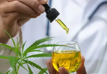 STJ concede liminares para autorizar o cultivo doméstico de Cannabis com fins medicinais sem risco de sanção criminal