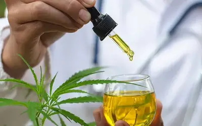 STJ concede liminares para autorizar o cultivo doméstico de Cannabis com fins medicinais sem risco de sanção criminal